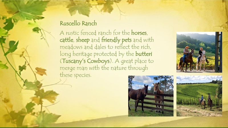 File:Tuscany Valley Concept & Presale Offer.pdf