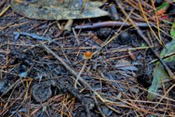 07062017-DSC 0147.jpg
