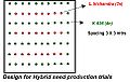 Thumbnail for version as of 10:31, 9 January 2010