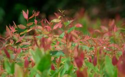 P443574704-3.jpg