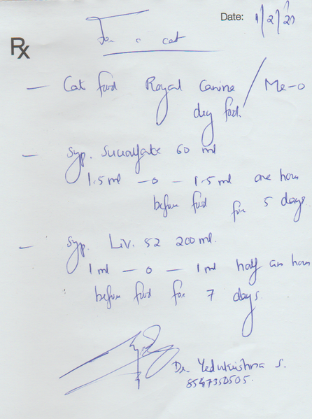 File:Ivy Prescription FEB2021.png