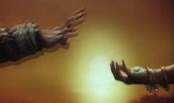 Zio.png