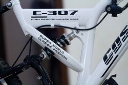 Bicycle 008.jpg