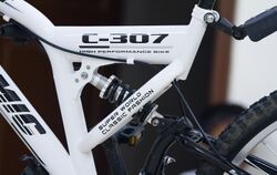 Bicycle 013.jpg