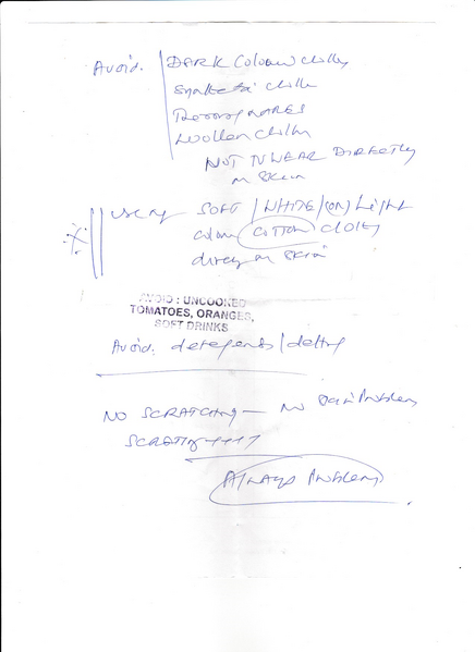 File:Scan 20230725.png